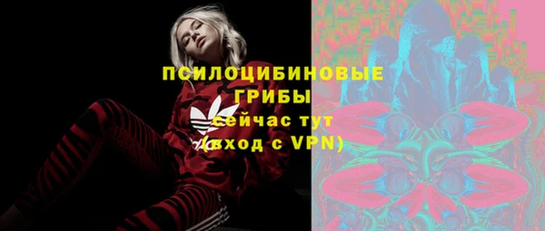 спайс Арсеньев
