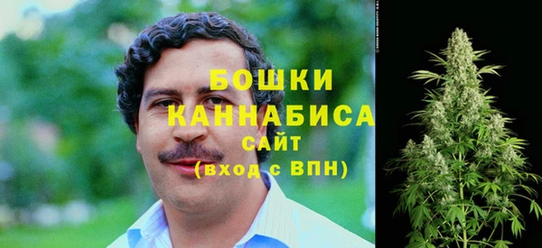 спайс Арсеньев